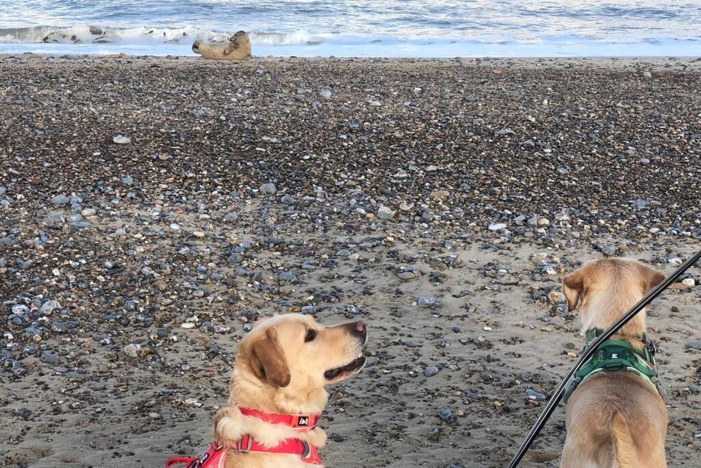 Dog Friendly Cottage 2 Mins To Beach With Hot Tub And Zappi Ev Lessingham Exteriör bild