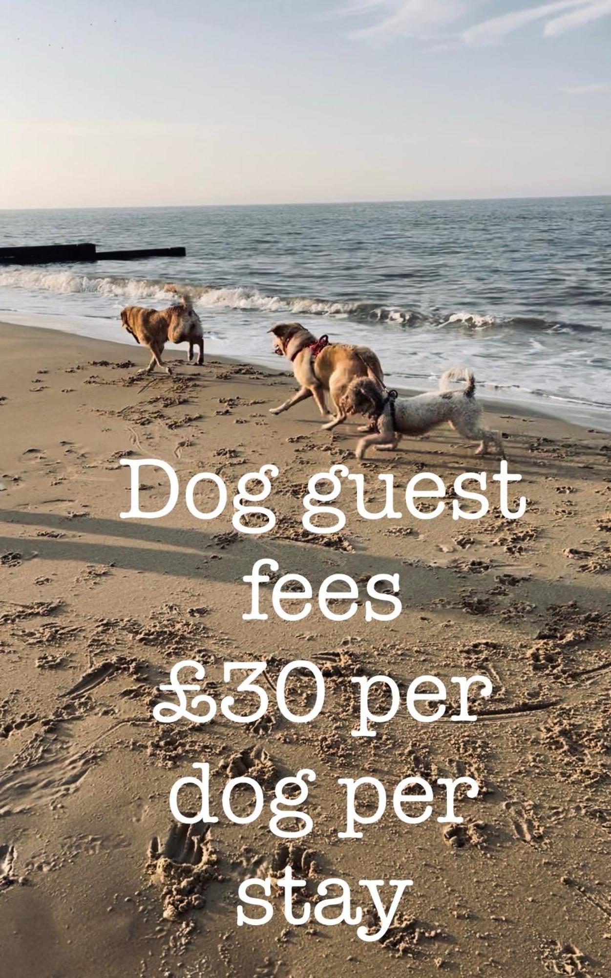 Dog Friendly Cottage 2 Mins To Beach With Hot Tub And Zappi Ev Lessingham Exteriör bild